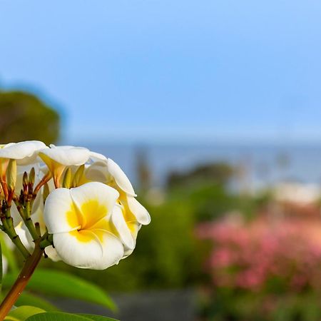 Nice To Stay Fontane Bianche Exterior foto